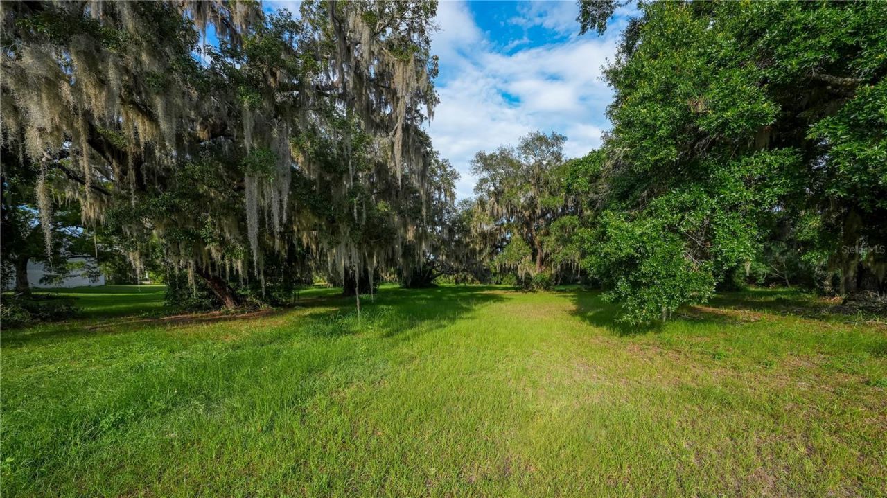 1925 County Road 19a, Eustis, FL 32726 Photo