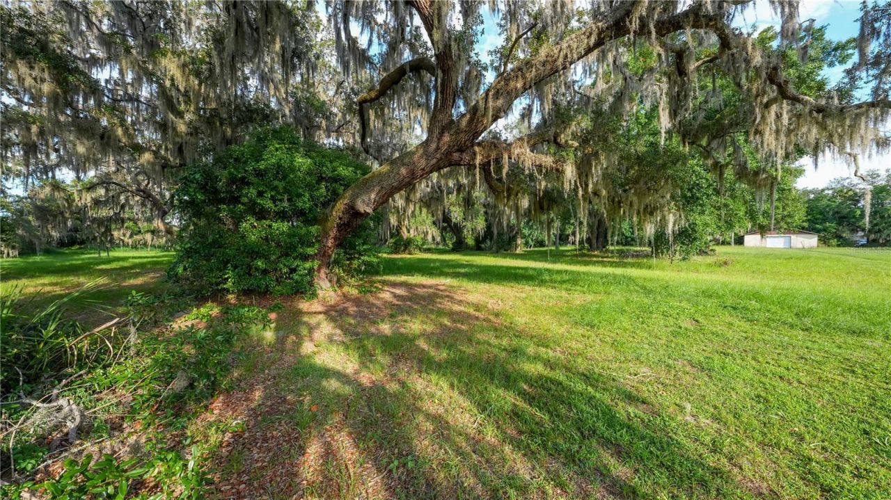 1925 County Road 19a, Eustis, FL 32726 Photo