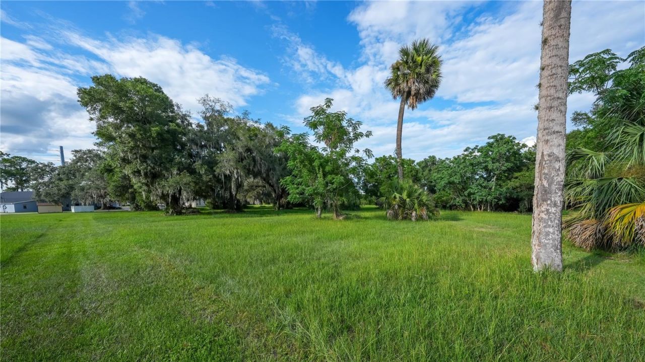 1925 County Road 19a, Eustis, FL 32726 Photo