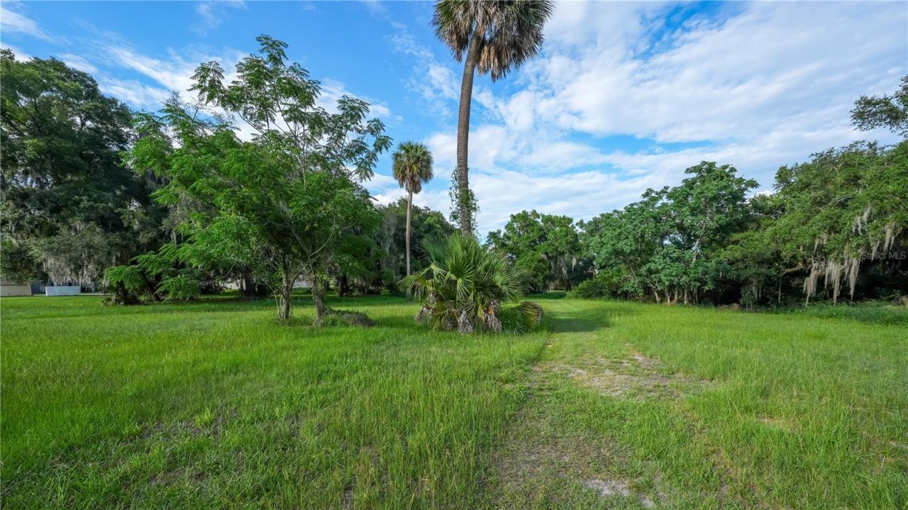 1925 County Road 19a, Eustis, FL 32726 Photo