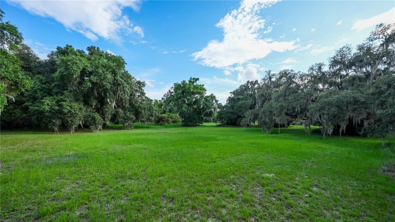 1925 County Road 19a, Eustis, FL 32726 Photo