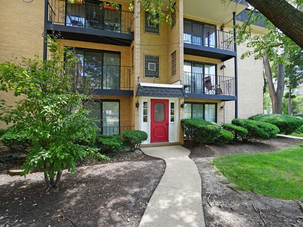 1003 S Euclid Avenue , Unit 1, Elmhurst, IL 60126