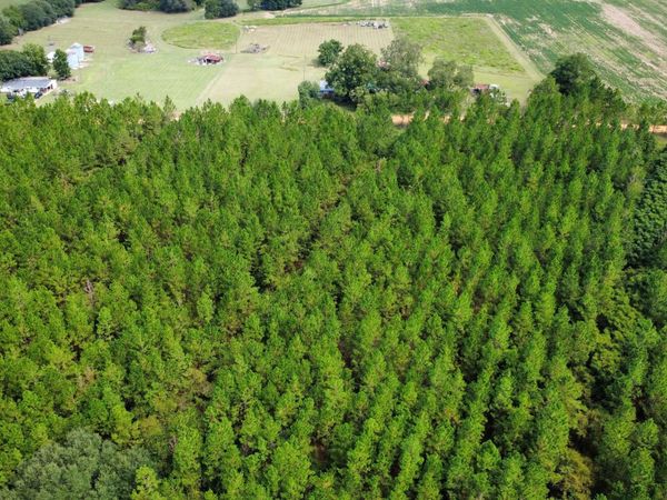 TRACT 2 A L Reeves Road, Fitzgerald, GA 31750