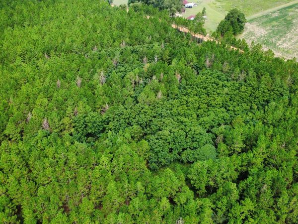 TRACT 3 A L Reeves Road, Fitzgerald, GA 31750