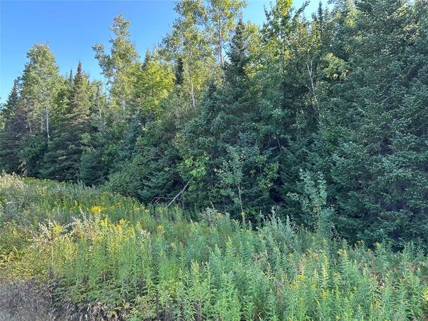 On Highway 53, Lake Nebagamon, WI 54849