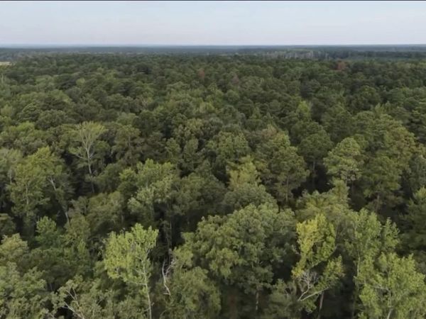 Tract B County Rd 8, Sheridan, AR 72150