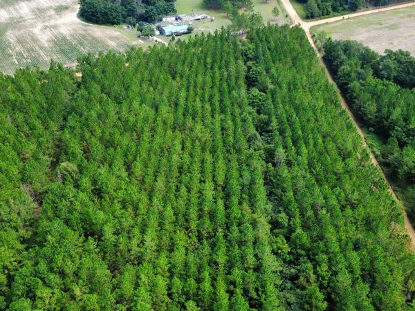 TRACT 4 A L Reeves Road, Fitzgerald, GA 31750