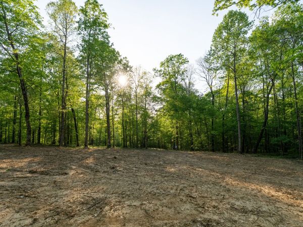 2 Pinewood Road , Nunnelly, TN 37137