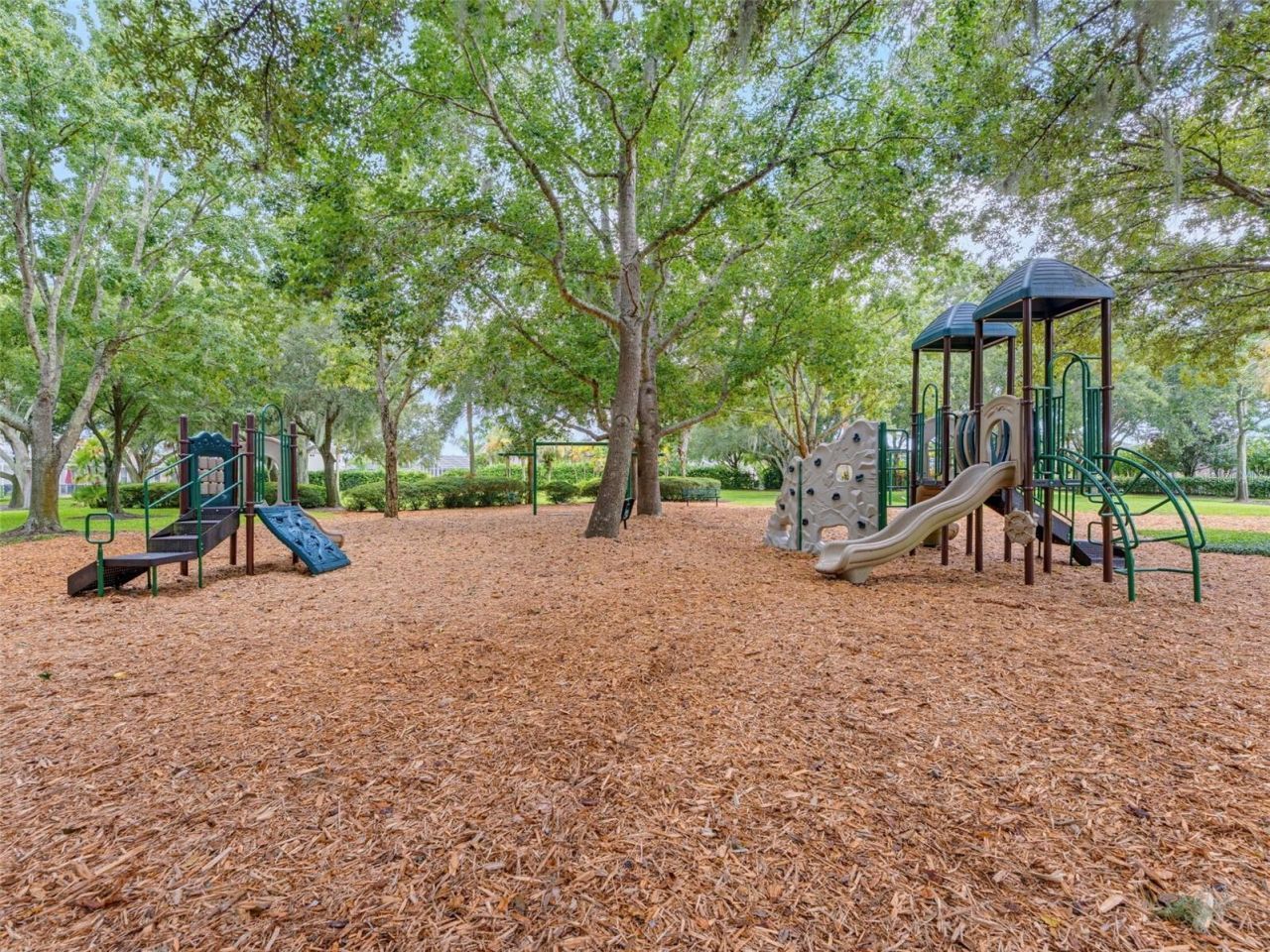 1900 Cardamon Drive, Trinity, FL 34655 Photo