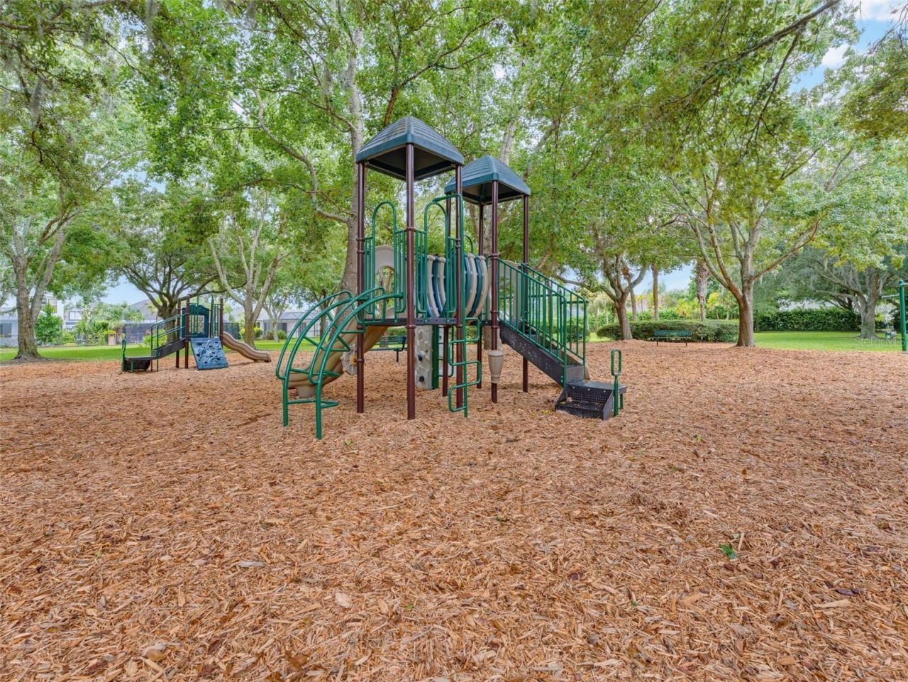 1900 Cardamon Drive, Trinity, FL 34655 Photo
