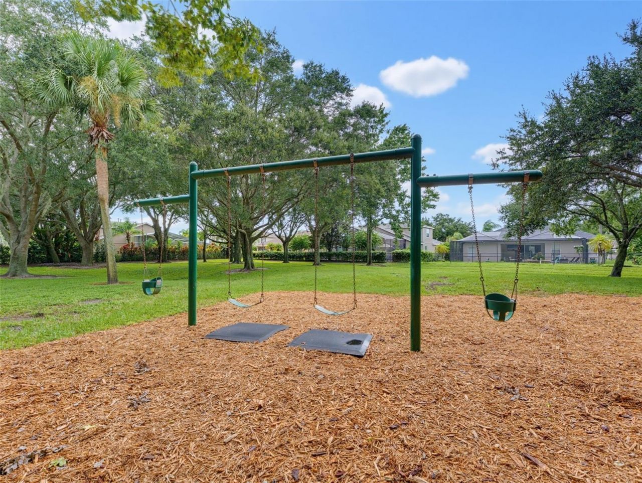 1900 Cardamon Drive, Trinity, FL 34655 Photo