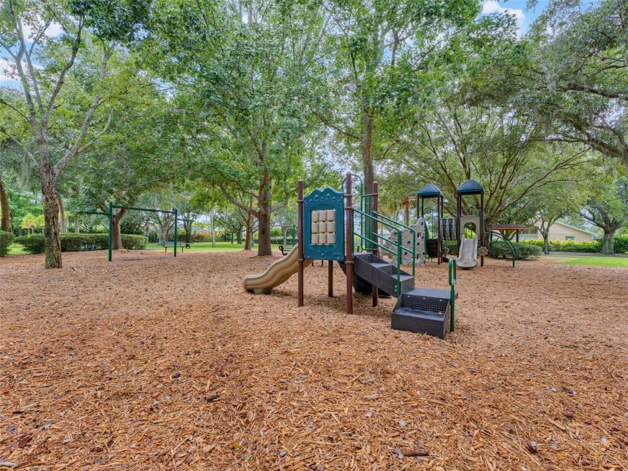 1900 Cardamon Drive, Trinity, FL 34655 Photo