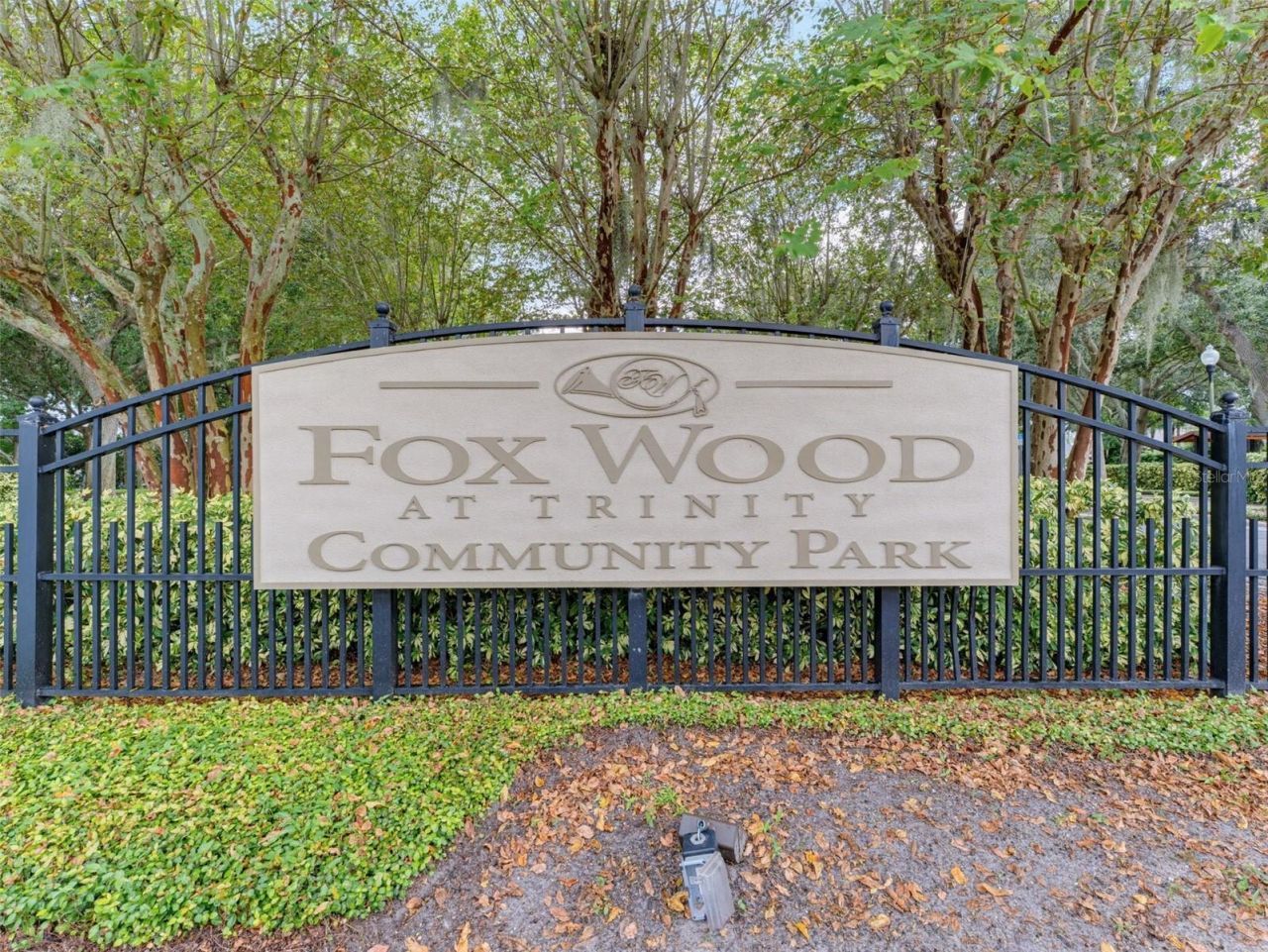 1900 Cardamon Drive, Trinity, FL 34655 Photo