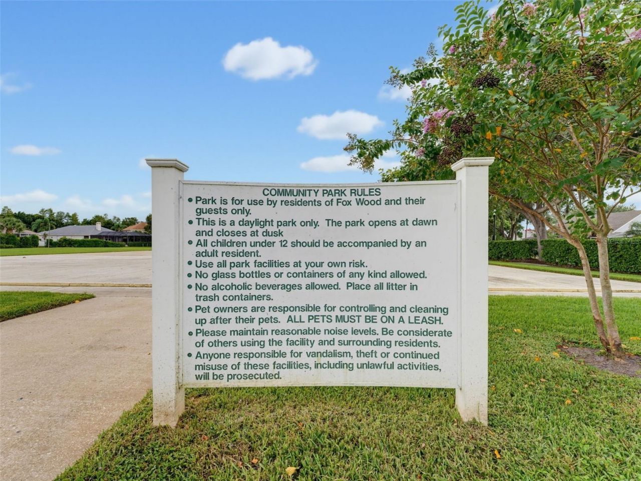 1900 Cardamon Drive, Trinity, FL 34655 Photo