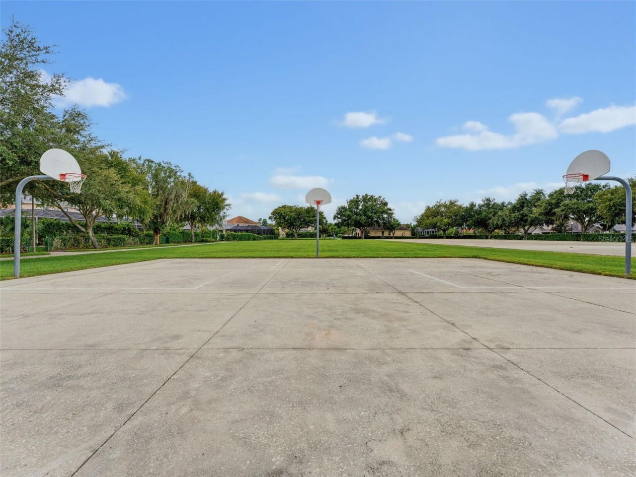 1900 Cardamon Drive, Trinity, FL 34655 Photo