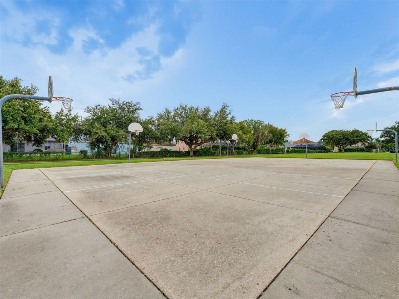 1900 Cardamon Drive, Trinity, FL 34655 Photo