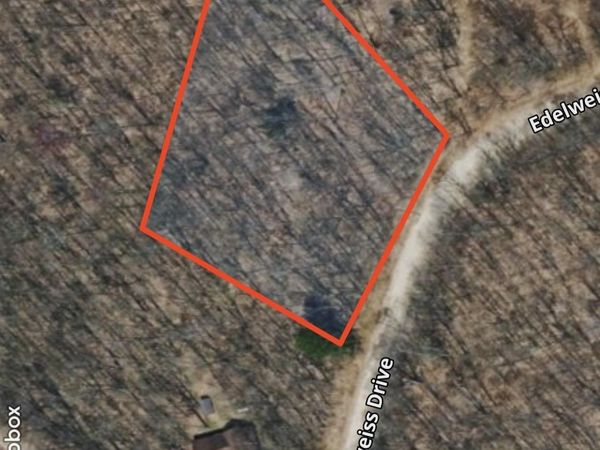 331 Edelweiss Drive, Bellaire, MI 49615