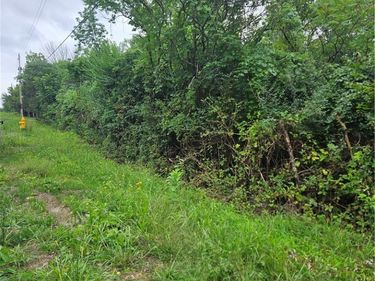 Bailey Rd, Groveland, NY 14462