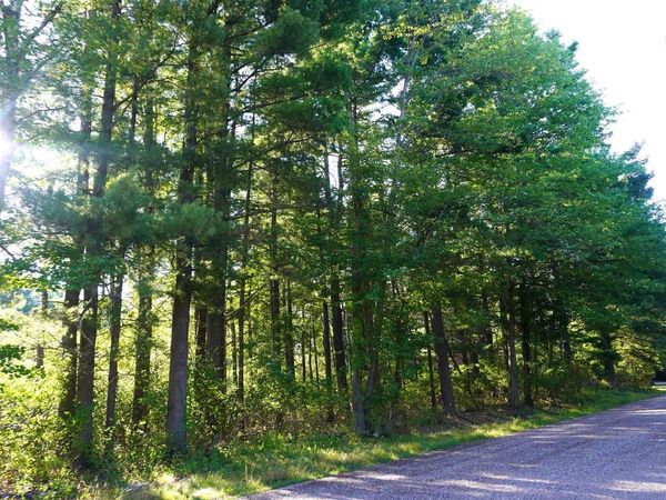 Lots 12 & 13 MONROE STREET, Merrill, WI 54452