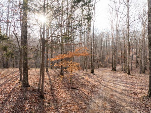 6 Pinewood Road , Nunnelly, TN 37137