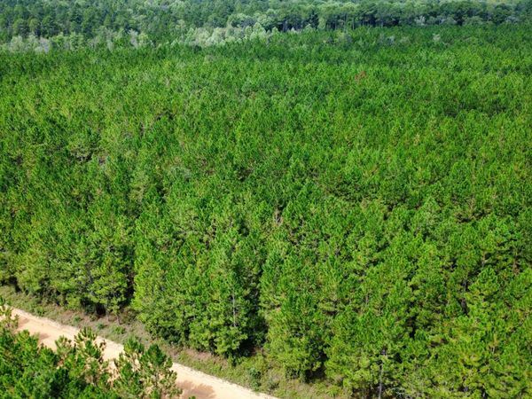 TRACT 6 Sunflower Road, Fitzgerald, GA 31750