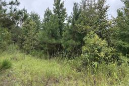 1008 Langford Road photo 4