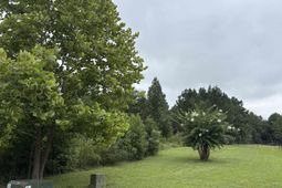 1008 Langford Road photo 4