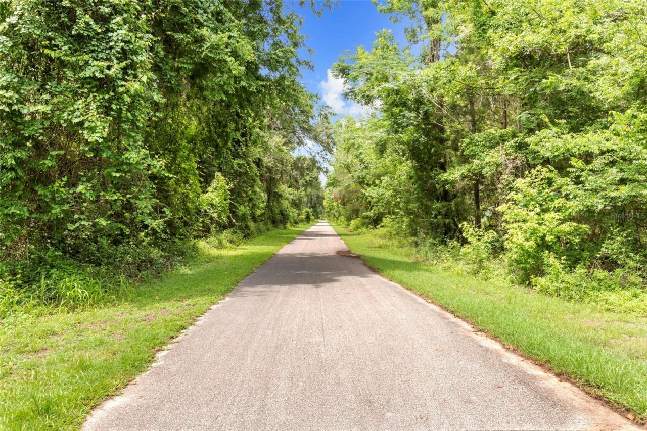 7625 S Annie Terrace, Floral City, FL 34436 Photo