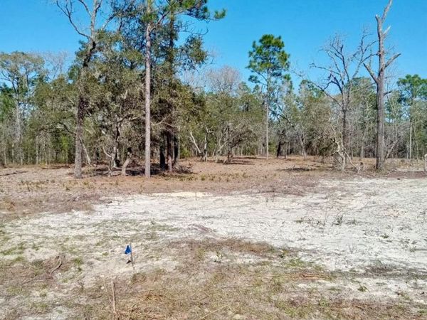 0 SE 125TH COURT , DUNNELLON, FL 34431