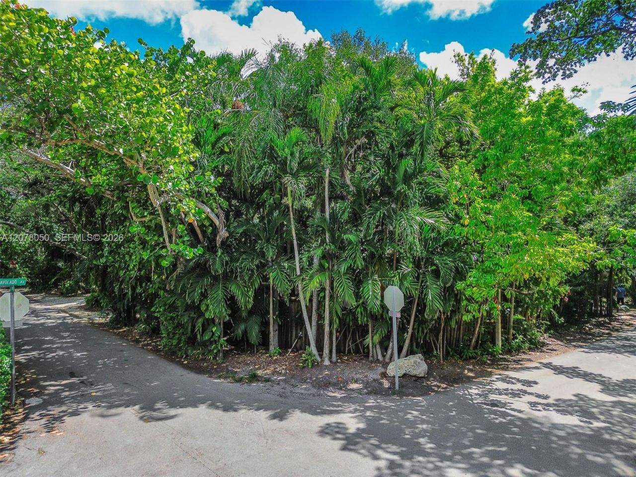 3595 Avocado Ave , Miami, FL 33133 Photo