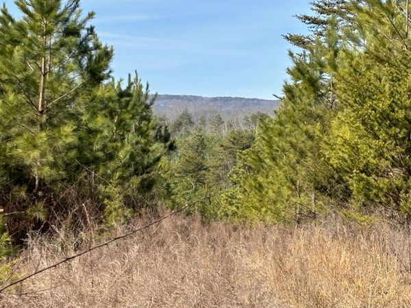 0 Vaughn Mill Road, Evensville, TN 37332