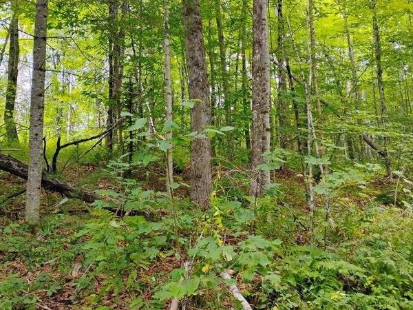 xx Washburn Road, Orange, NH 03741