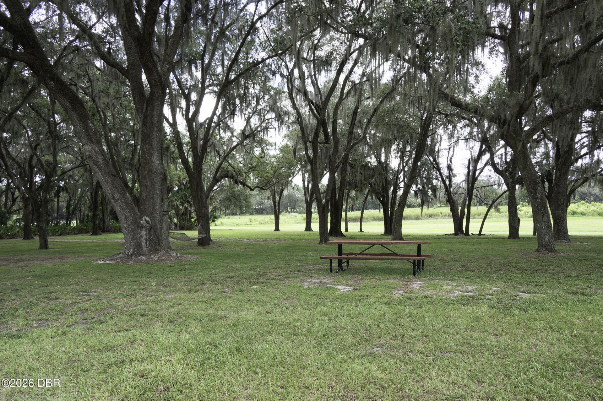 6750 N San Juan Terrace, Crystal River, FL 34428 Photo