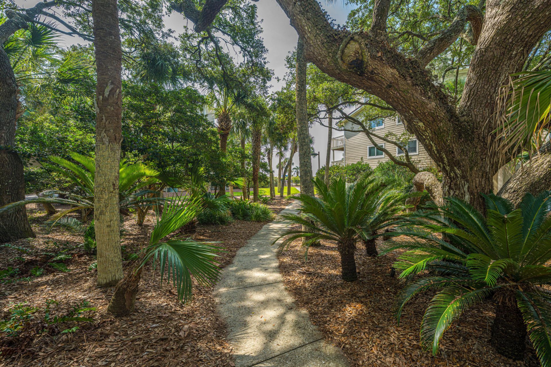 6 Seagrove Lane Photo 12