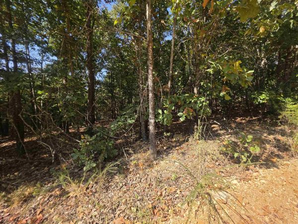 1.8 Anchor Lake Drive , Hardy, AR 72542