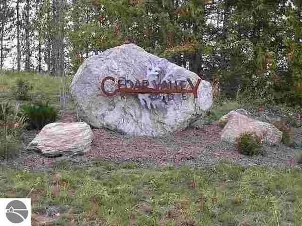 Cedar Valley Ridge Drive, Traverse City, MI 49684