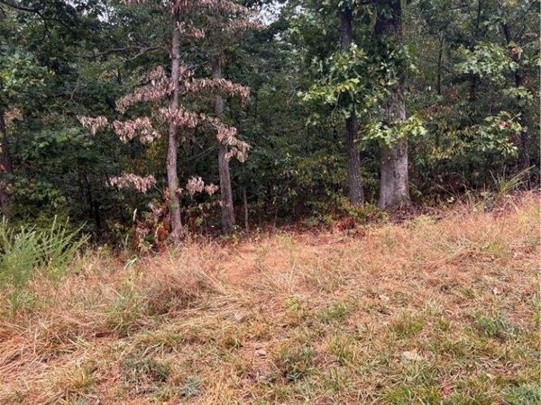 Nottingham Drive , Bella Vista, AR 72715