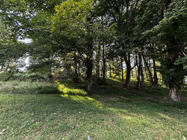 Old Hartsville Road , Scottsville, KY 42164
