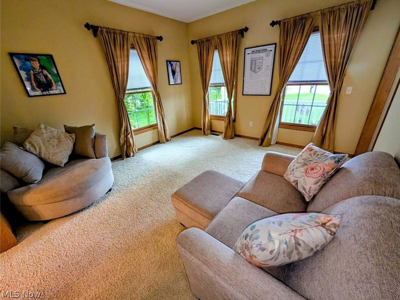 376 Foxbury Drive SW, Carrollton, OH 44615 Photo 18