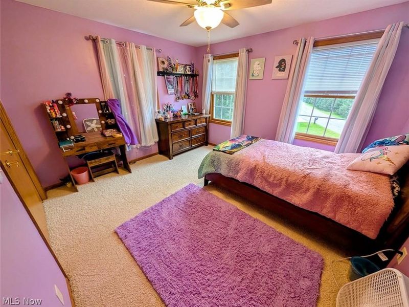 376 Foxbury Drive SW, Carrollton, OH 44615 Photo 29