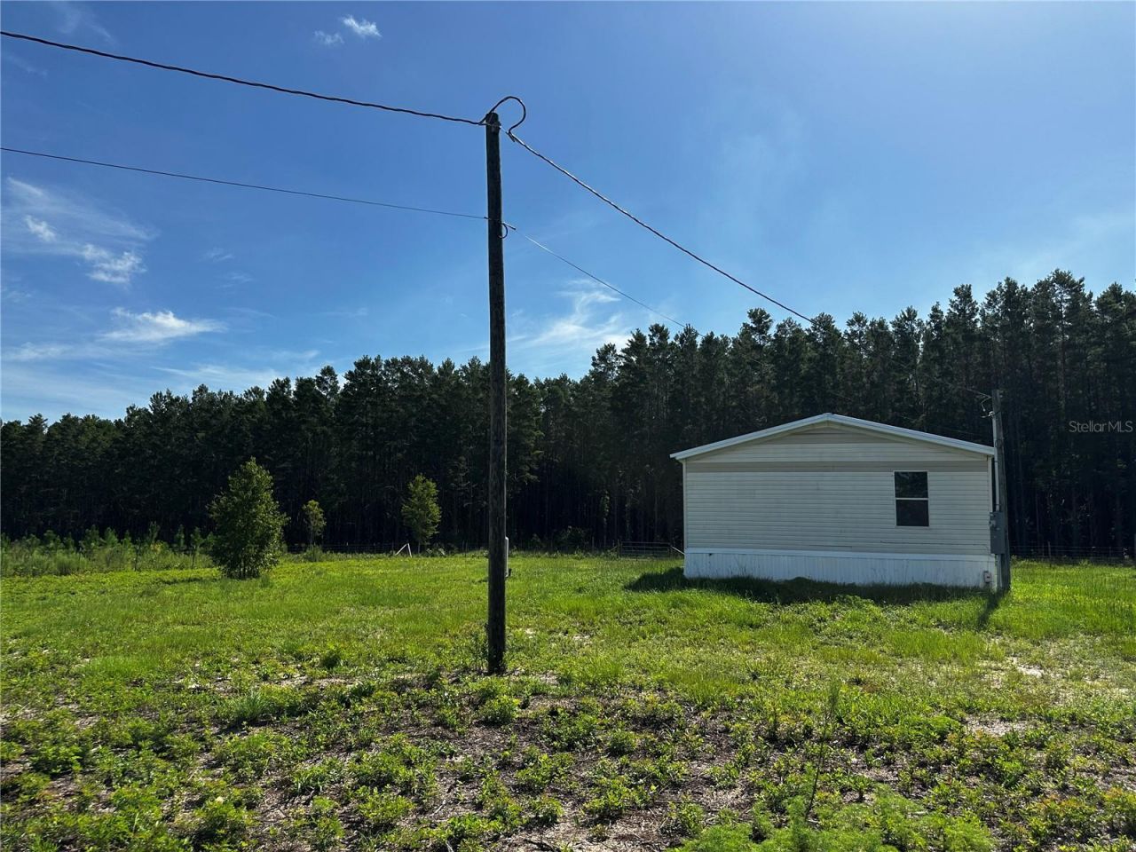 7351 NE 106th Terrace , Bronson, FL 32621 Photo