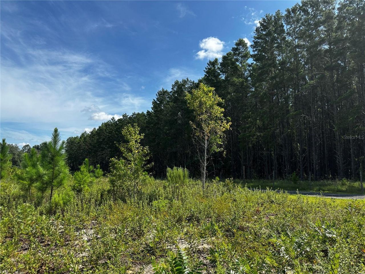 7351 NE 106th Terrace , Bronson, FL 32621 Photo