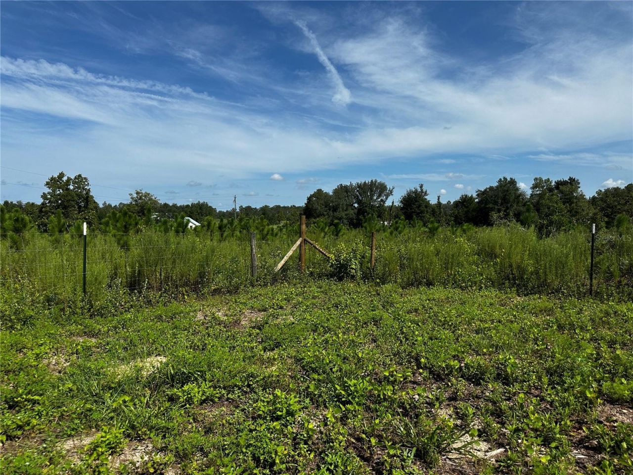 7351 NE 106th Terrace , Bronson, FL 32621 Photo