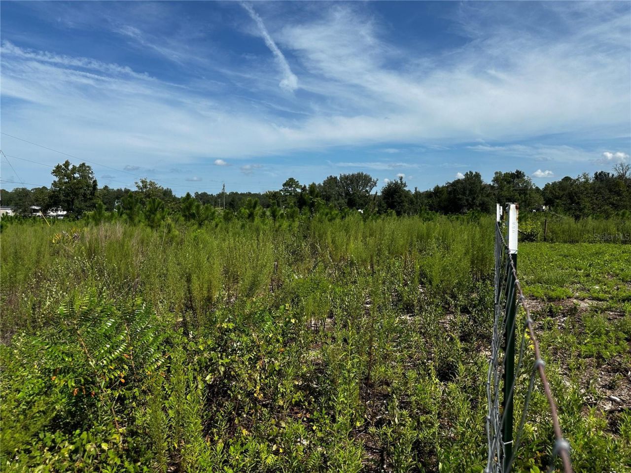 7351 NE 106th Terrace , Bronson, FL 32621 Photo
