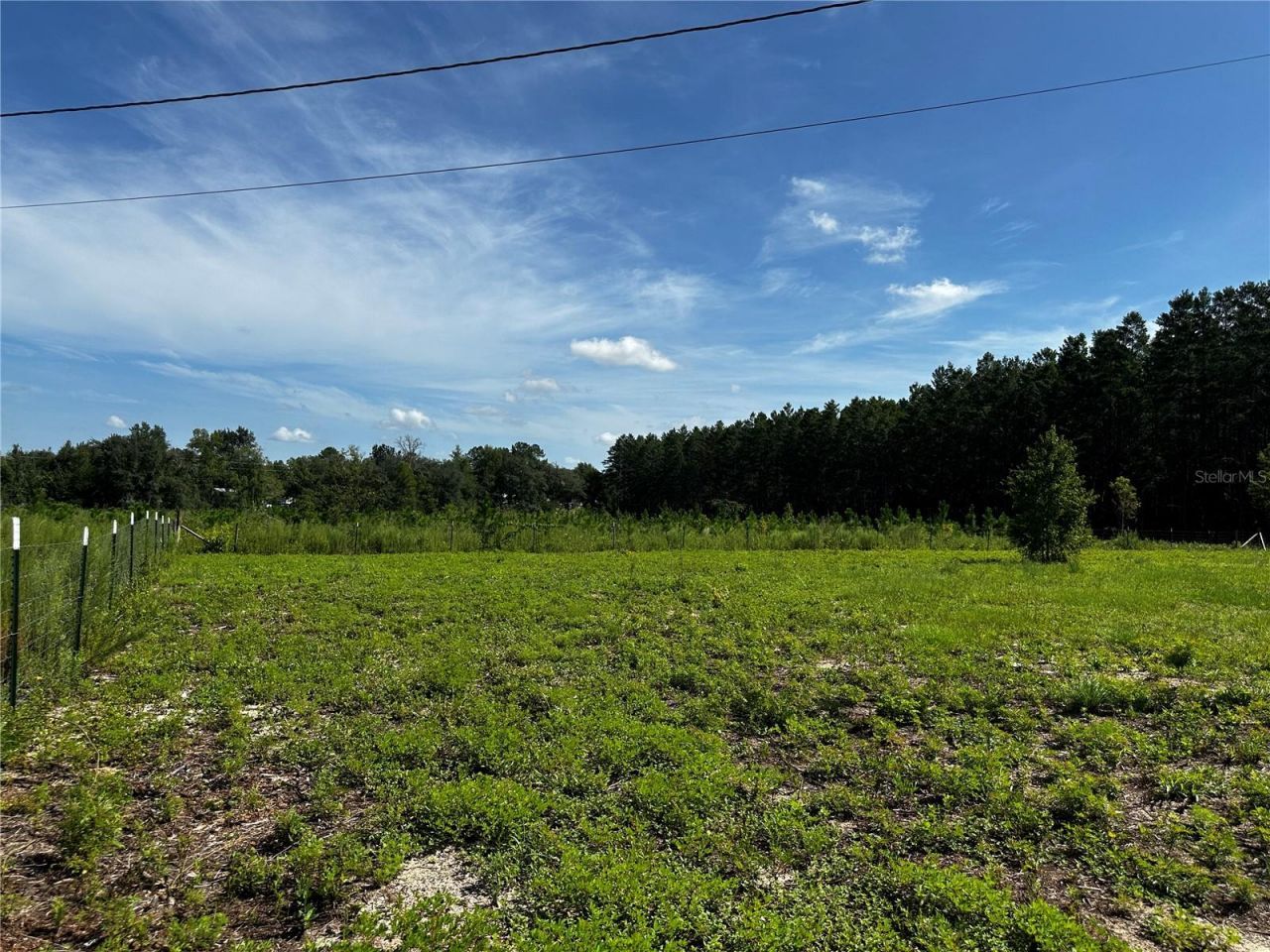 7351 NE 106th Terrace , Bronson, FL 32621 Photo