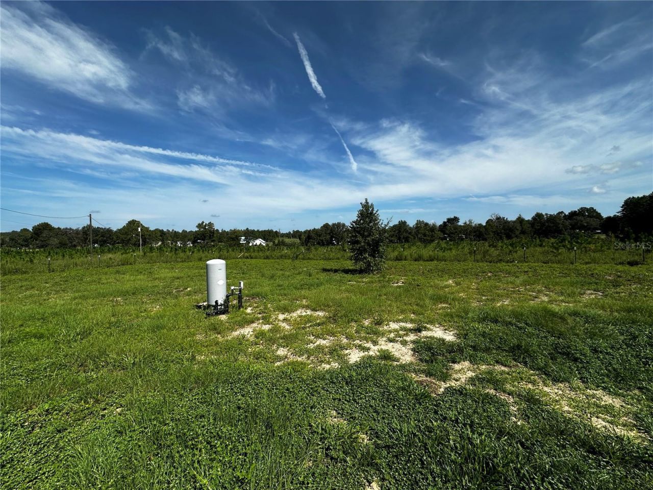 7351 NE 106th Terrace , Bronson, FL 32621 Photo