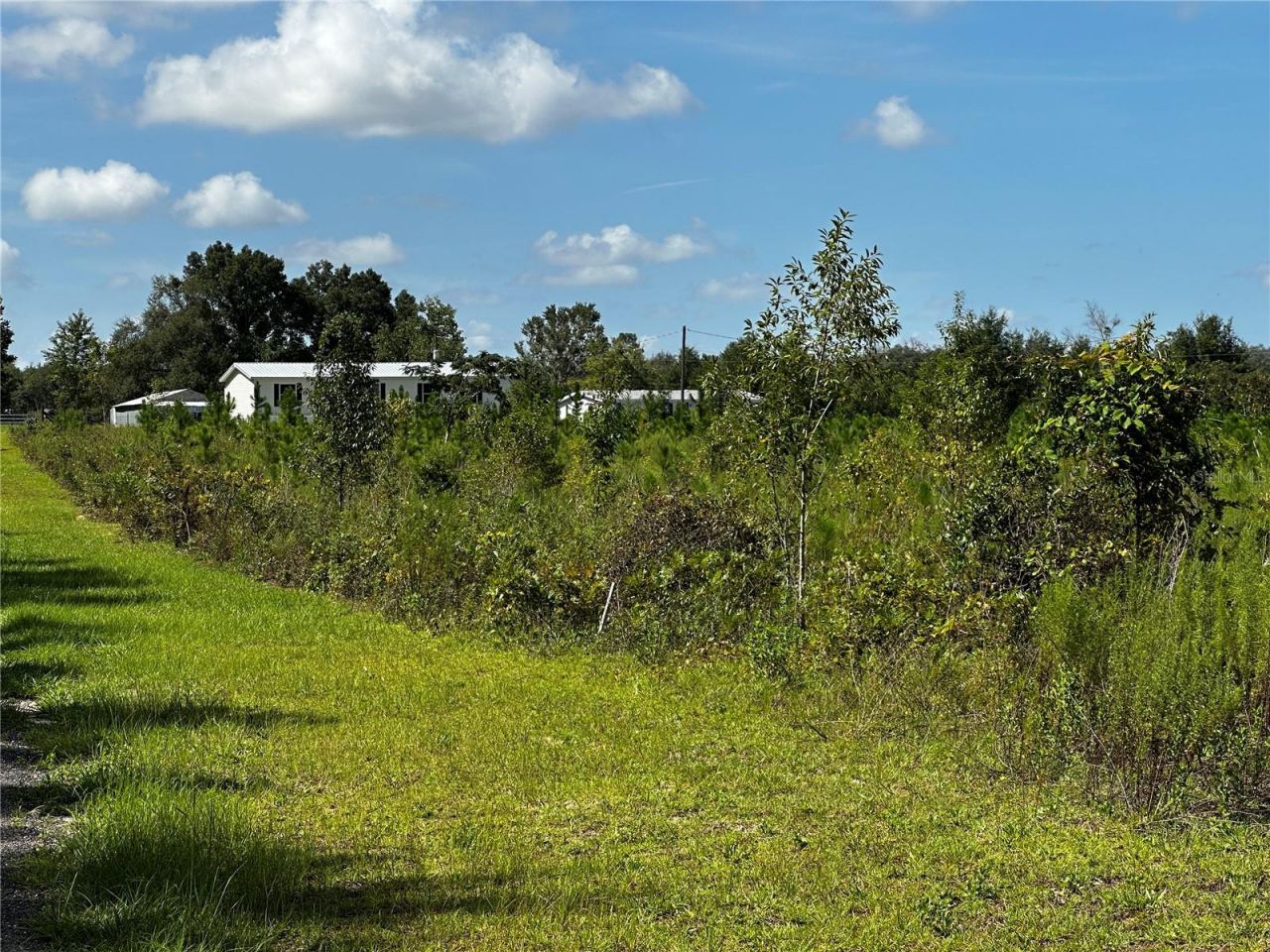 7351 NE 106th Terrace , Bronson, FL 32621 Photo