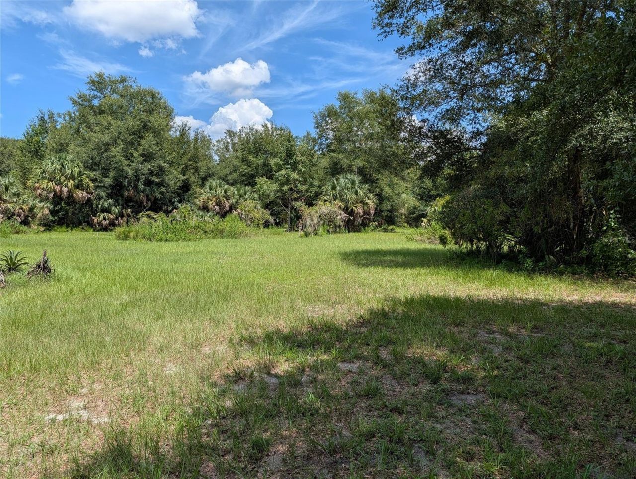 876 Shaw Lake Road , Pierson, FL 32180 Photo