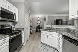 1445 Cambridge Lakes Drive photo 4