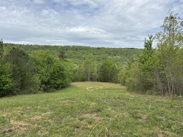 367 Leggett Road, Sale Creek, TN 37373